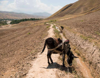 "Unity-kanava" Kalafganin alueella Takharin maakunnassa Afganistanissa. Kuva: WFP/Arete/Andrew Quilty